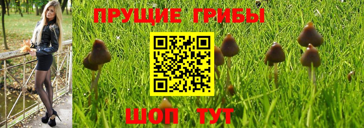 Псилоцибиновые грибы Cubensis  Вход с VPN  цена наркотик  Орехово-Зуево 